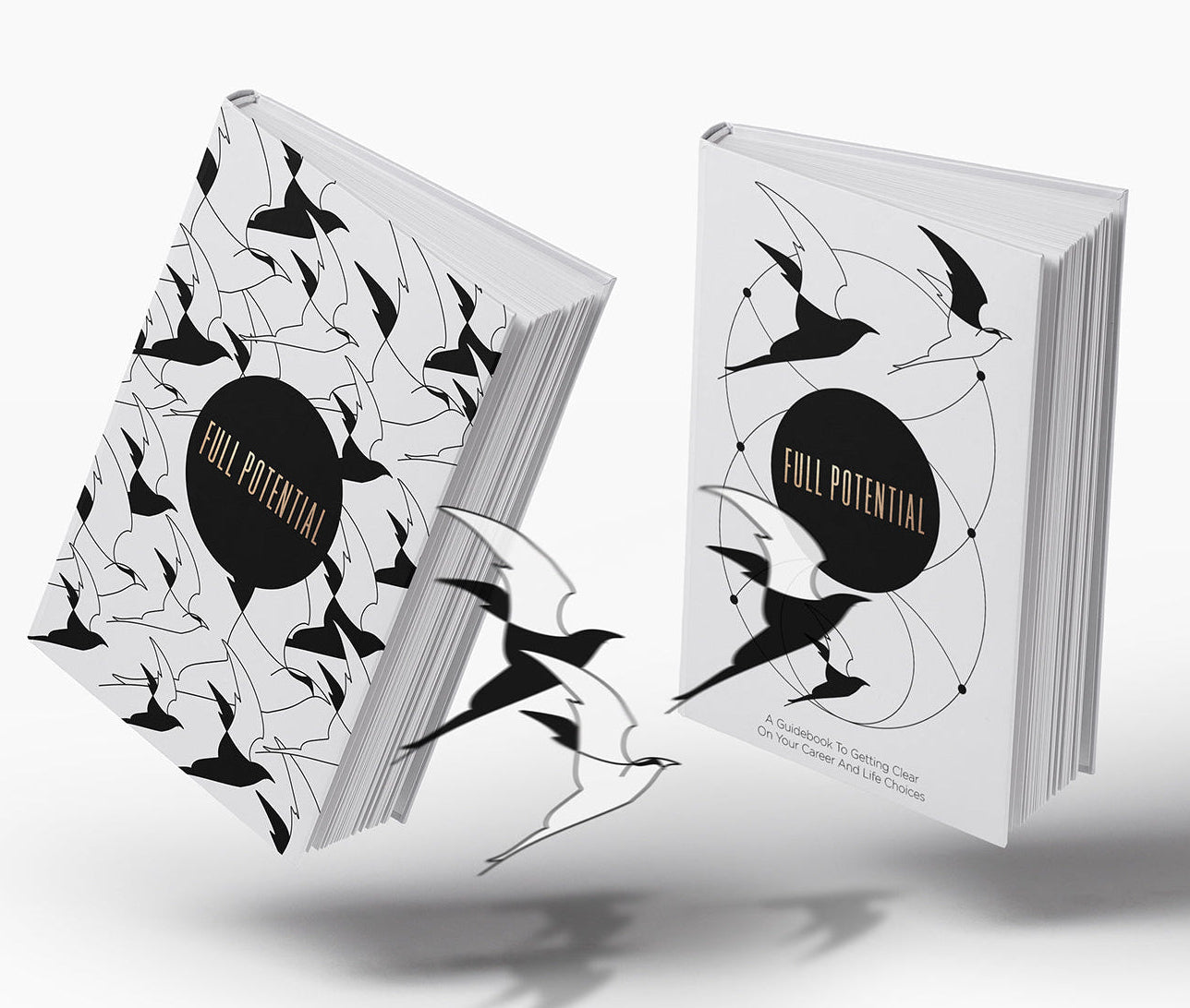 career clarity Vekita Full Potential - find your passion - find your career path - aligned career